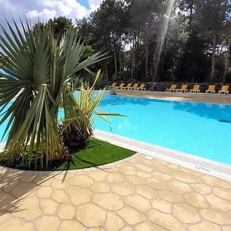 Mobil-home A Louer Dans Un **** Proche De La Et Foret Saint-Jean-de-Monts