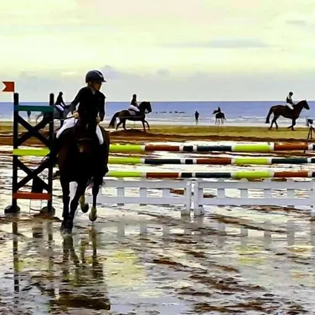 Kemping Mobil-home A Louer Dans Un **** Proche De La Et Foret Saint-Jean-de-Monts